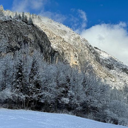 Appartement Cosy Proche Chatel Portes Du Soleil - Linge Inclus Abondance Kültér fotó