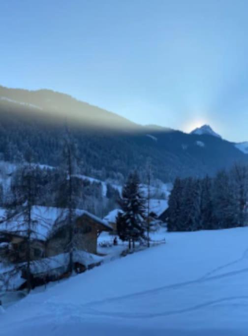 Appartement Cosy Proche Chatel Portes Du Soleil - Linge Inclus Abondance Kültér fotó