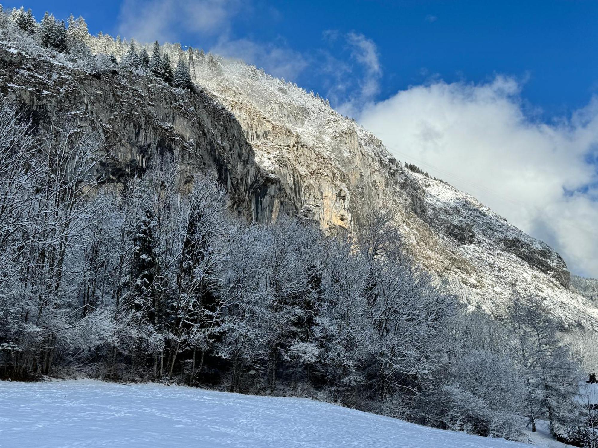 Appartement Cosy Proche Chatel Portes Du Soleil - Linge Inclus Abondance Kültér fotó